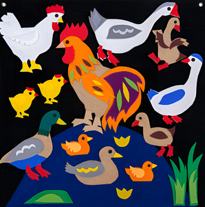 Пособие для слабовидящих детей «Домашние птицы» - fgospostavki.ru - Сергиев Посад