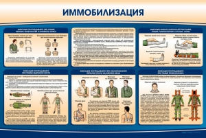 Стенд "Иммобилизация" - fgospostavki.ru - Сергиев Посад