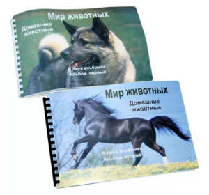 Пособие для слабовидящих - Домашние животные - fgospostavki.ru - Сергиев Посад