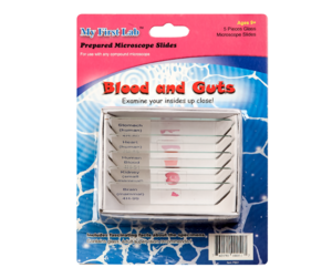 Набор микропрепаратов для микроскопа №1 «Человек» - fgospostavki.ru - Сергиев Посад