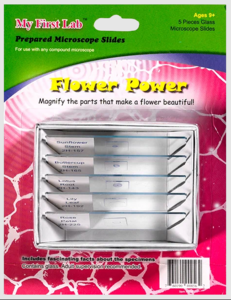 Набор микропрепаратов для микроскопа №6 «Цветы» - fgospostavki.ru - Сергиев Посад