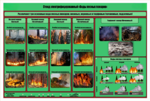 Стенд-планшет электрифицированный «Виды лесных пожаров»  - fgospostavki.ru - Сергиев Посад