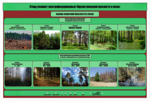 Стенд-планшет электрифицированный «Оценка пожарной опасности в лесах»  - fgospostavki.ru - Сергиев Посад