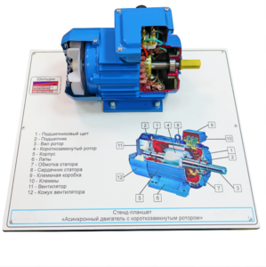 Стенд-планшет «Асинхронный двигатель с короткозамкнутым ротором» - fgospostavki.ru - Сергиев Посад