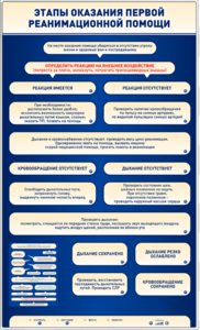 Электрифицированный стенд-тренажер "Этапы оказания первой реанимационной помощи" - fgospostavki.ru - Сергиев Посад