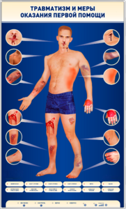 Электрифицированный стенд-тренажер "Травматизм и меры оказания первой помощи" - fgospostavki.ru - Сергиев Посад