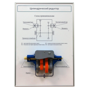 Плакат планшет с демонстрационной моделью «Цилиндрический редуктор» - fgospostavki.ru - Сергиев Посад