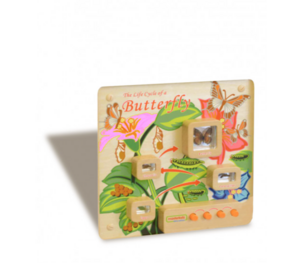 Панель «Жизненный цикл бабочки» - fgospostavki.ru - Сергиев Посад