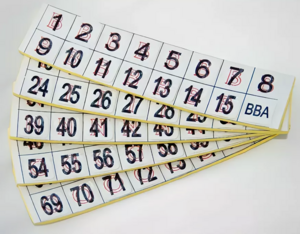 Фишки для игры «Бинго» со шрифтом Брайля - fgospostavki.ru - Сергиев Посад