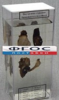 Влажный препарат "Внутреннее строение брюхоногого моллюска" - fgospostavki.ru - Сергиев Посад