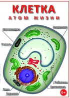 DVD "Клетка - "атом жизни" - fgospostavki.ru - Сергиев Посад