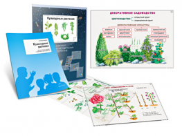 Комплект кодотранспарантов "Культурные растения" - fgospostavki.ru - Сергиев Посад