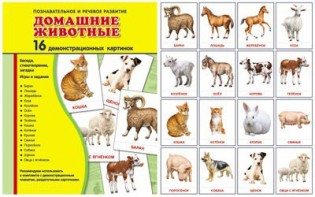 Демонстрационные карточки "Домашние животные" - fgospostavki.ru - Сергиев Посад