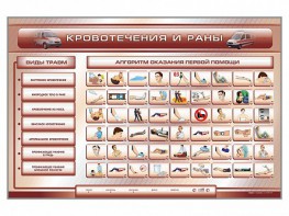 Трехсекционный базовый комплект "Травмы. Кровотечения. Ожоги" для учащихся общеобразовательных учреждений - fgospostavki.ru - Сергиев Посад