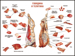 Таблица "Правила разделки мясных туш. Говядина и телятина" (100х140 сантиметров, винил) - fgospostavki.ru - Сергиев Посад