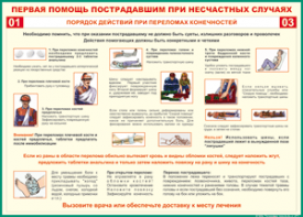 Таблица "Порядок действий при переломах конечностей" (100х140 сантиметров, винил) - fgospostavki.ru - Сергиев Посад