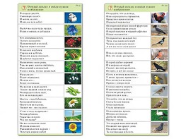 Комплект карточек (10) "Обучающий калейдоскоп. Природа" - fgospostavki.ru - Сергиев Посад
