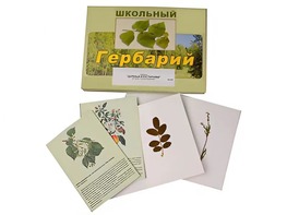 Гербарий "Деревья и кустарники" (22 вида, с иллюстрациями) - fgospostavki.ru - Сергиев Посад