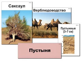 Модель-аппликация "Природные зоны России" (ламинированная) - fgospostavki.ru - Сергиев Посад