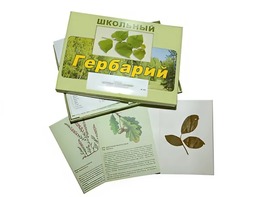 Гербарий "Дикорастущие растения" (30 видов, с иллюстрациями) - fgospostavki.ru - Сергиев Посад