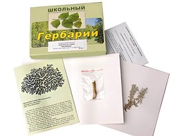 Гербарий "Водоросли. Грибы. Лишайники" (раздаточный) - fgospostavki.ru - Сергиев Посад