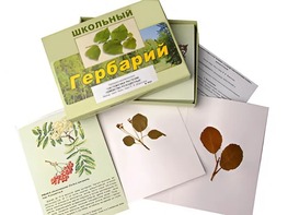 Гербарий "Систематика растений. Семейство Розоцветные" (раздаточный) - fgospostavki.ru - Сергиев Посад