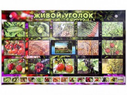 Комплект оборудования "Живой уголок" (растения) с тифлопереводом и сурдокомментариями - fgospostavki.ru - Сергиев Посад