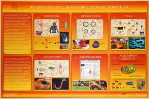 Электрифицированный стенд «Эпизоотология сельскохозяйственных животных» - fgospostavki.ru - Сергиев Посад
