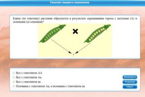 Интерактивные курсы. Биология 11 класс. Базовый. - fgospostavki.ru - Сергиев Посад
