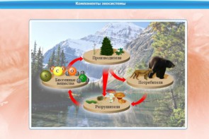 Интерактивные курсы. Биология 7 класс. Базовый. - fgospostavki.ru - Сергиев Посад