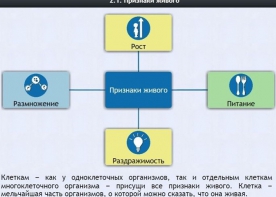 Интерактивные курсы. Биология 5 класс. Базовый - fgospostavki.ru - Сергиев Посад