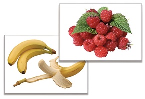 Дидактическое пособие "Фрукты, ягоды, орехи" (24 карточки) - fgospostavki.ru - Сергиев Посад