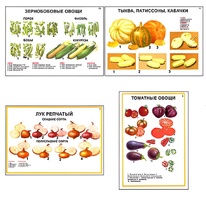 Плакаты ПРОФТЕХ "Ассортимент овощных культур" (12 пл, винил, 70х100) - fgospostavki.ru - Сергиев Посад
