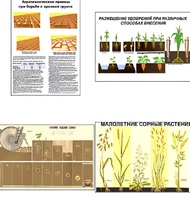 Плакаты ПРОФТЕХ "Агрономия" (5 пл, винил, 70х100) - fgospostavki.ru - Сергиев Посад