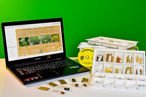 Коллекция натурально-интерактивная "Плоды сельскохозяйственных растений" - fgospostavki.ru - Сергиев Посад