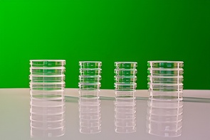 Набор чашек Петри - fgospostavki.ru - Сергиев Посад