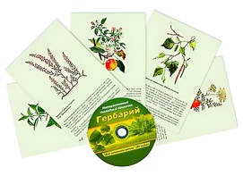 Интерактивный наглядный комплекс "Гербарий "Для начальной школы" - fgospostavki.ru - Сергиев Посад