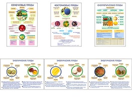 Плакаты ПРОФТЕХ "Плоды" (6 пл, винил, 70х100) - fgospostavki.ru - Сергиев Посад