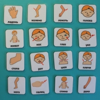 Набор карточек "Части тела" - fgospostavki.ru - Сергиев Посад