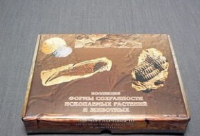 Коллекция "Формы сохранности ископаемых растений и животных" - fgospostavki.ru - Сергиев Посад