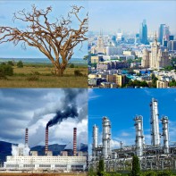 Модель-аппликация Биосфера и человек - fgospostavki.ru - Сергиев Посад