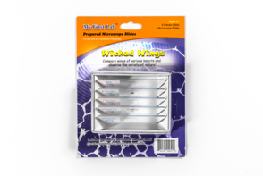 Набор микропрепаратов для микроскопа №5 «Насекомые» - fgospostavki.ru - Сергиев Посад