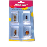 Набор микропрепаратов для стереомикроскопа №14 «Насекомые» - fgospostavki.ru - Сергиев Посад