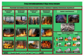 Стенд-планшет электрифицированный «Виды лесных пожаров»  - fgospostavki.ru - Сергиев Посад