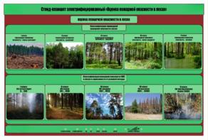 Стенд-планшет электрифицированный «Оценка пожарной опасности в лесах»  - fgospostavki.ru - Сергиев Посад