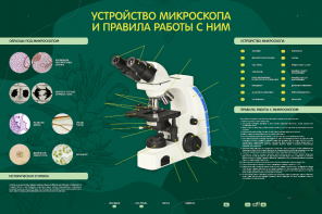Электрифицированный стенд "Устройство микроскопа и правила работы c ним" - fgospostavki.ru - Сергиев Посад