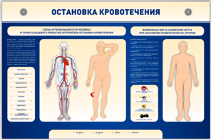 Электрифицированный стенд-тренажер "Остановка кровотечения" - fgospostavki.ru - Сергиев Посад