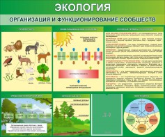 Стенд "Экология. Организация и функционирование сообществ" - fgospostavki.ru - Сергиев Посад