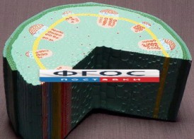 Модель "Стебель растения" - fgospostavki.ru - Сергиев Посад