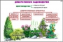 Комплект кодотранспарантов "Культурные растения" - fgospostavki.ru - Сергиев Посад
